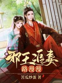 邪王追妻路漫漫